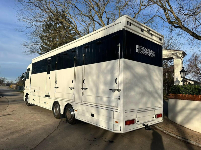 MAN TGX 26.440 - Horse transporter - At taşıma aracı: fotoğraf 4 MAN TGX 26.440 - Horse transporter - At taşıma aracı: fotoğraf 4