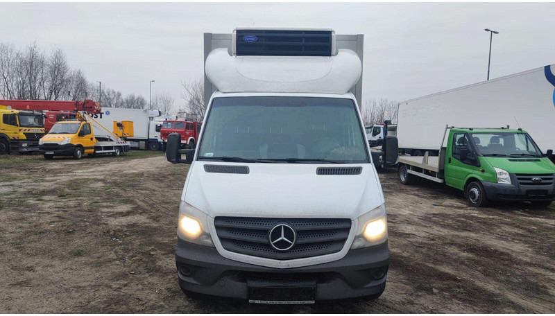 Mercedes-Benz Sprinter 316 cdi - Carrier Xarios 500 frigo - 3,5t - 220V - Frigorifik kamyonet: fotoğraf 5 Mercedes-Benz Sprinter 316 cdi - Carrier Xarios 500 frigo - 3,5t - 220V - Frigorifik kamyonet: fotoğraf 5