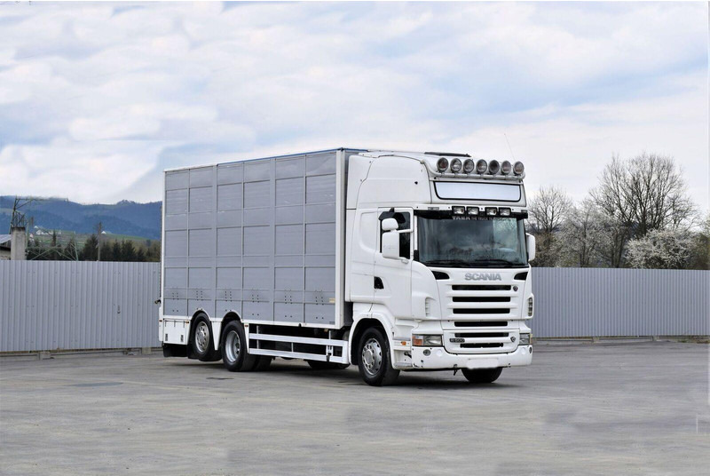 Scania R 500 - Hayvan nakil aracı kamyon: fotoğraf 2 Scania R 500 - Hayvan nakil aracı kamyon: fotoğraf 2