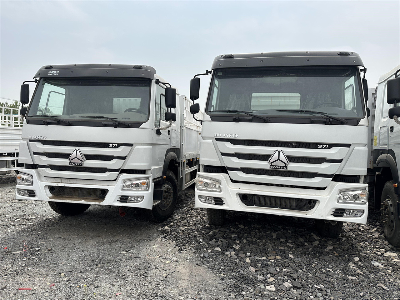SINOTRUK HOWO 371 Cargo truck - Hayvan nakil aracı kamyon: fotoğraf 1 SINOTRUK HOWO 371 Cargo truck - Hayvan nakil aracı kamyon: fotoğraf 1