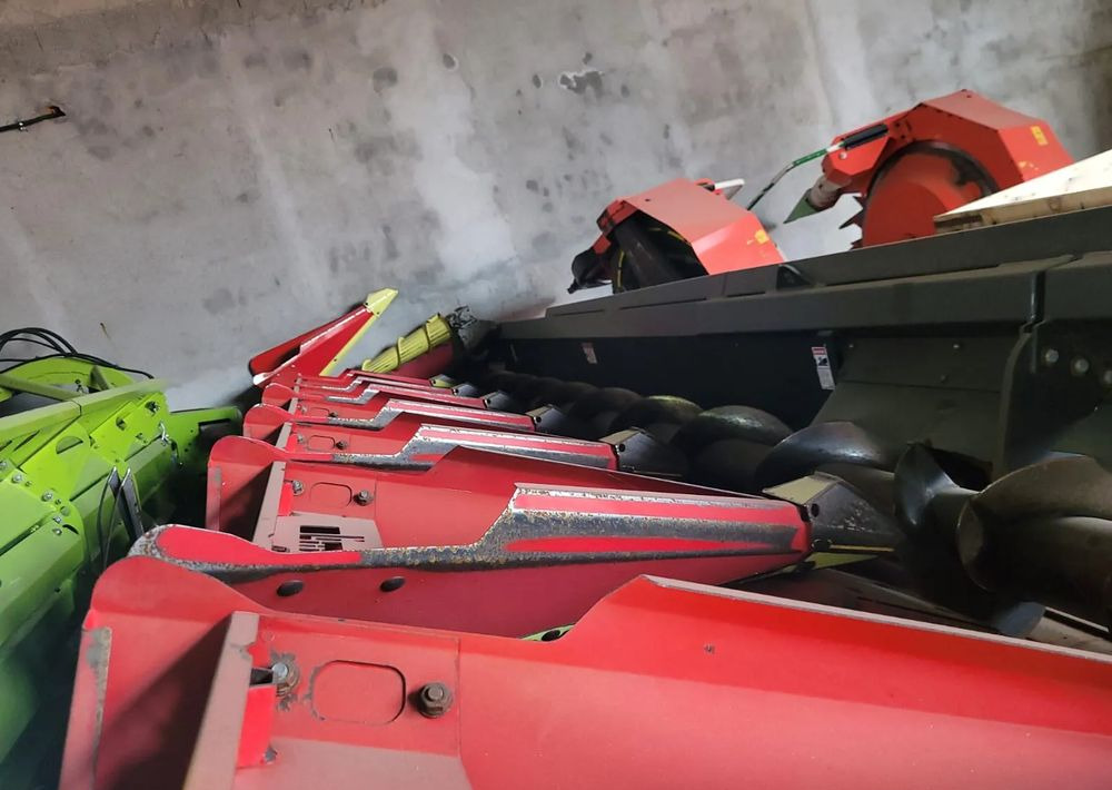 Olimac Drago II - Mısır tablası: fotoğraf 4 Olimac Drago II - Mısır tablası: fotoğraf 4