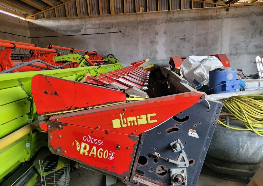 Olimac Drago II - Mısır tablası: fotoğraf 1 Olimac Drago II - Mısır tablası: fotoğraf 1