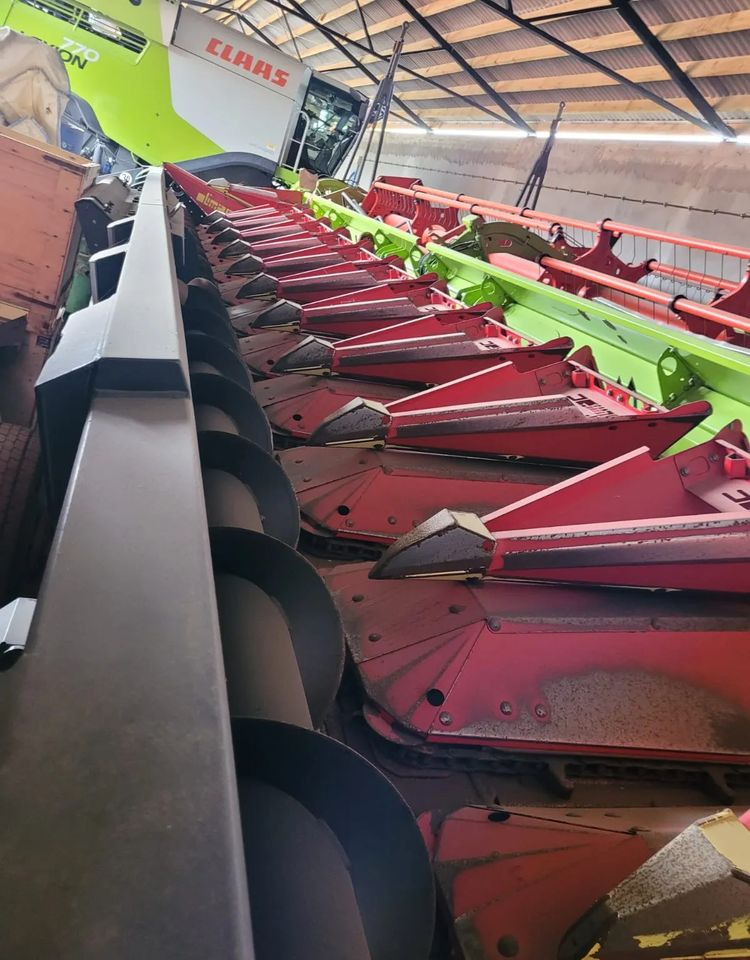 Olimac Drago II - Mısır tablası: fotoğraf 2 Olimac Drago II - Mısır tablası: fotoğraf 2