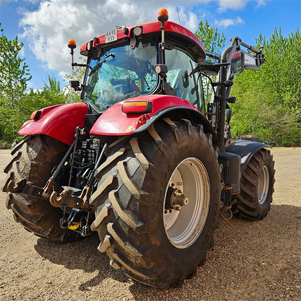 CASE IH Puma 230 CVX - Traktör: fotoğraf 5 CASE IH Puma 230 CVX - Traktör: fotoğraf 5