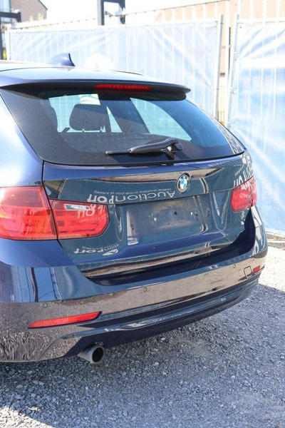 Binek araba BMW 3 Serie 318d: fotoğraf 12