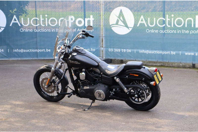 Harley-Davidson Dyna Street Bob - Motosiklet: fotoğraf 3 Harley-Davidson Dyna Street Bob - Motosiklet: fotoğraf 3