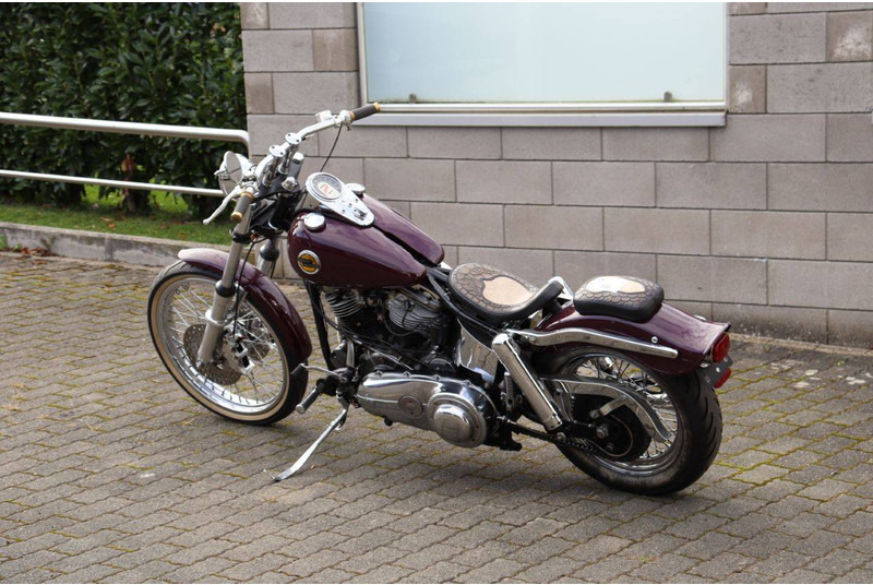 Harley-Davidson Pan Head FLH - Motosiklet: fotoğraf 3 Harley-Davidson Pan Head FLH - Motosiklet: fotoğraf 3