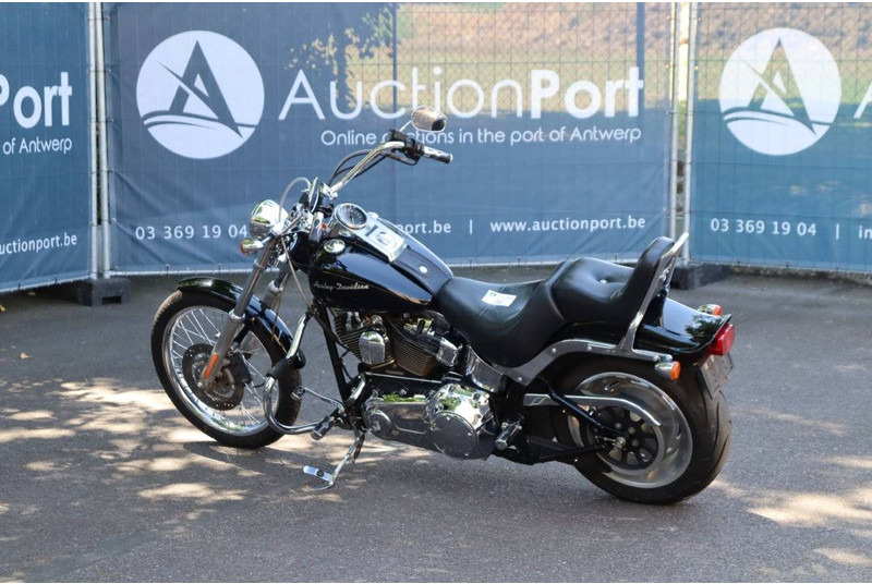 Harley-Davidson Softail Custom - Motosiklet: fotoğraf 3 Harley-Davidson Softail Custom - Motosiklet: fotoğraf 3