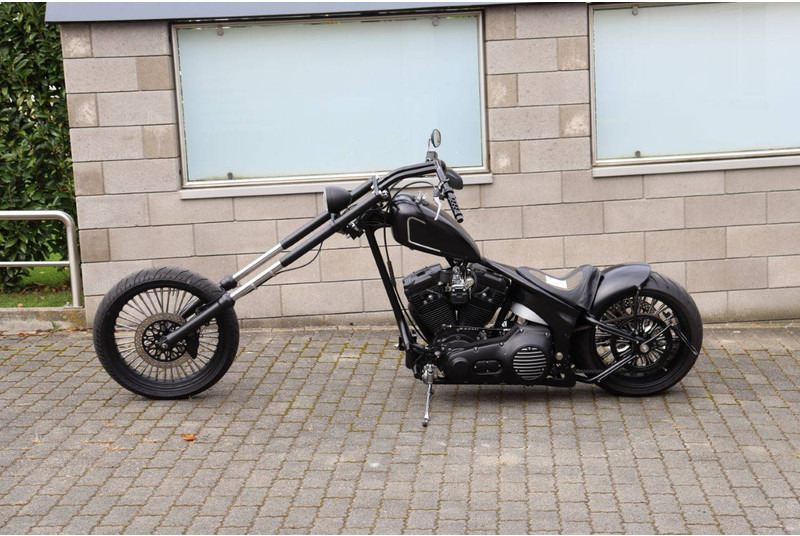 Harley-Davidson Softtail EVO - Motosiklet: fotoğraf 2 Harley-Davidson Softtail EVO - Motosiklet: fotoğraf 2