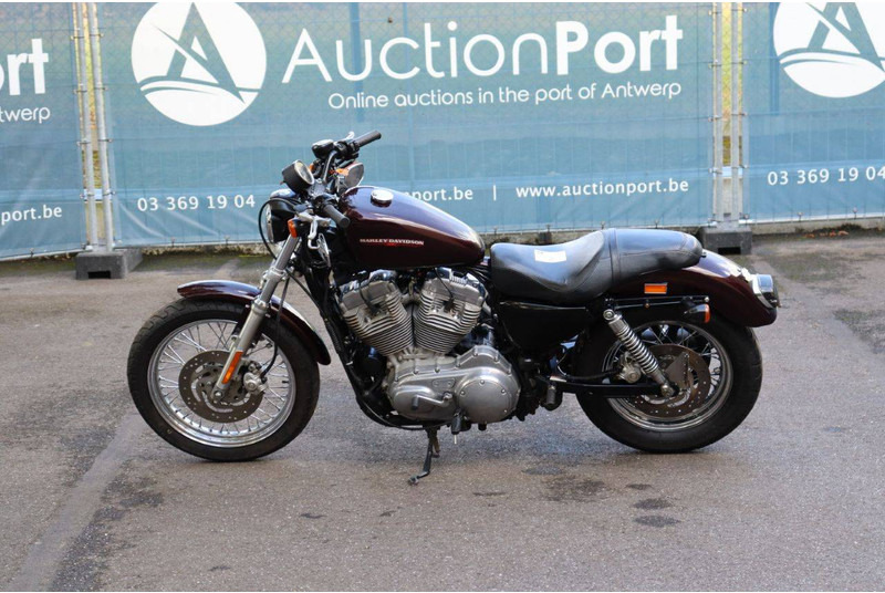 Harley-Davidson Sportster XL883 Super Low - Motosiklet: fotoğraf 2 Harley-Davidson Sportster XL883 Super Low - Motosiklet: fotoğraf 2
