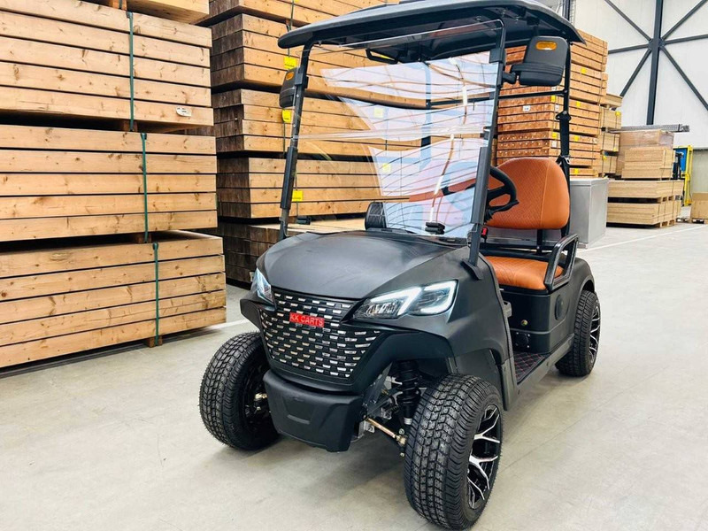 RTE - Golf arabası: fotoğraf 4 RTE - Golf arabası: fotoğraf 4