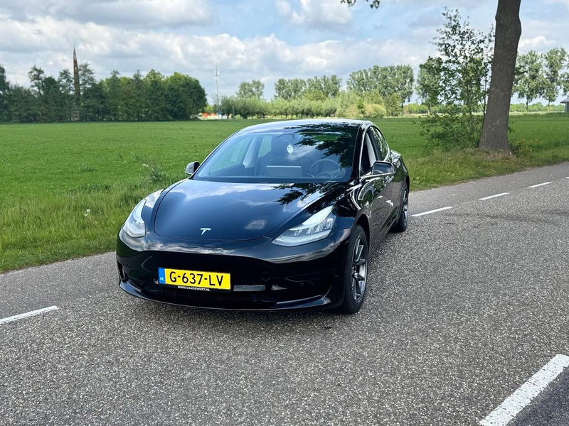 Tesla Model 3 - Sedan araba: fotoğraf 3 Tesla Model 3 - Sedan araba: fotoğraf 3