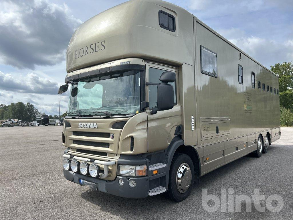 SCANIA P360DB6X2*4MNB - At taşıma aracı: fotoğraf 1 SCANIA P360DB6X2*4MNB - At taşıma aracı: fotoğraf 1