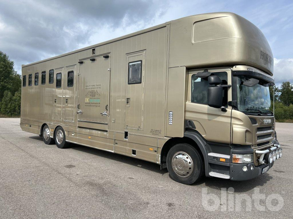 SCANIA P360DB6X2*4MNB - At taşıma aracı: fotoğraf 3 SCANIA P360DB6X2*4MNB - At taşıma aracı: fotoğraf 3