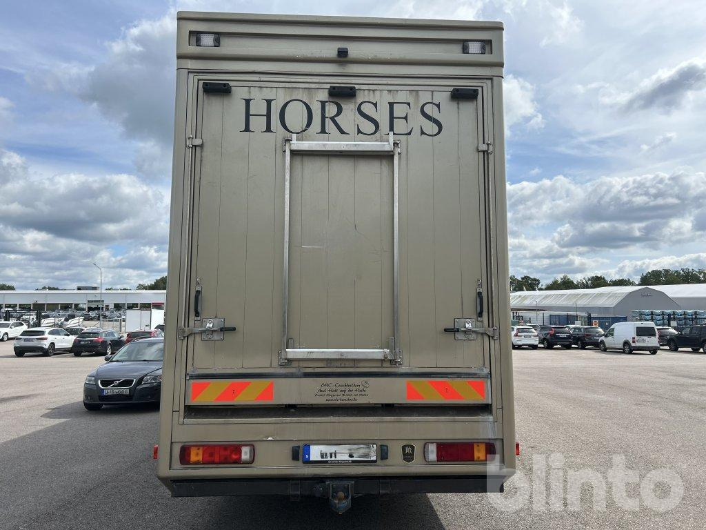 SCANIA P360DB6X2*4MNB - At taşıma aracı: fotoğraf 5 SCANIA P360DB6X2*4MNB - At taşıma aracı: fotoğraf 5